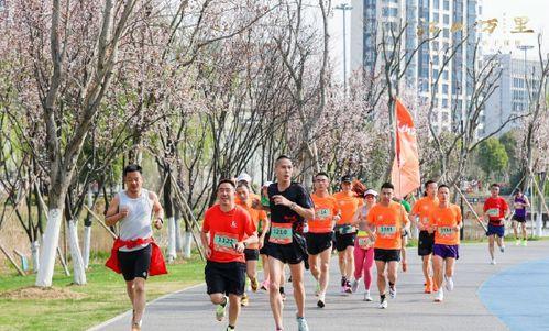 春天的马拉松,马拉松的生机盎然之旅