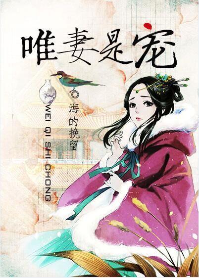 唯妻不负,探寻忠贞爱情的永恒誓言