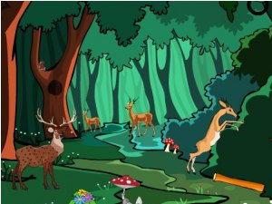 小鹿乱撞,小鹿乱撞的浪漫体验