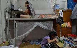大学宿舍生活,青春记忆的温馨角落